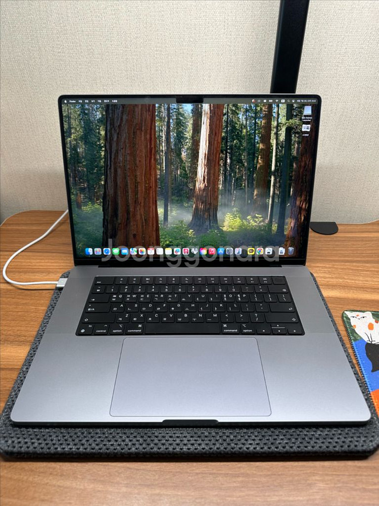 애플 맥북프로 m1 max 16인치 램64gb 에케플--0