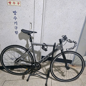 블랙타이판 픽시
