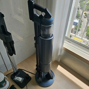 삼성 비스포크 제트 VS20A956A31P