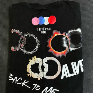 밴드 더로즈 DTD 티셔츠 XL 팝니다