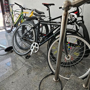 크로몰리