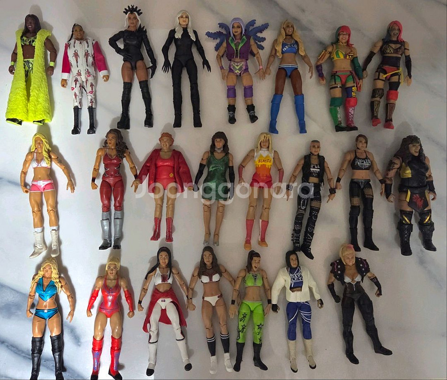 WWE 마텔 디바 우먼스 피규어 개당 2만원--0