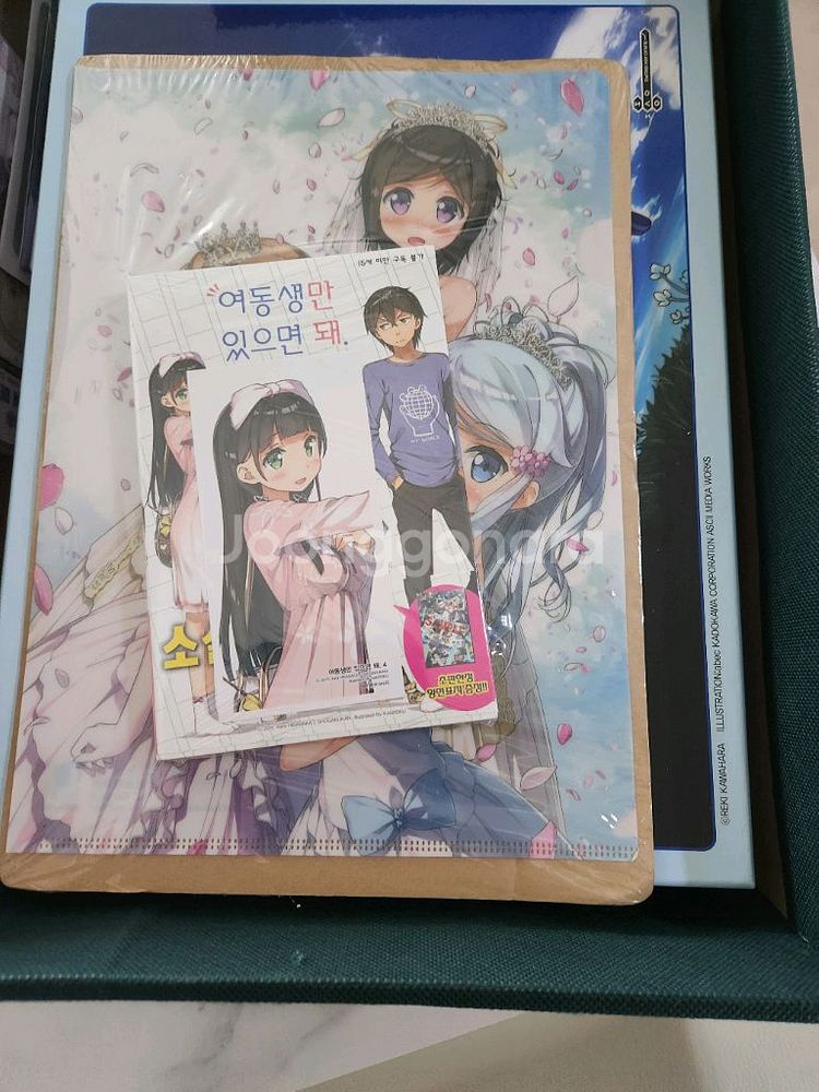라이트노벨 다수 팔아요--7