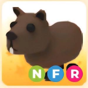 입양하세요 NFR 카피바라