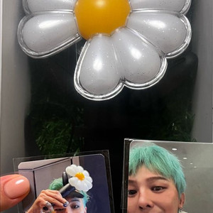 지디 응원봉 데이지봉 판매
