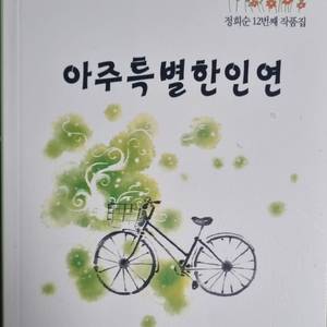 아주 특별한 인연 [정희순 12번째 작품집]