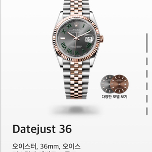 롤렉스 윔블던 18k베젤 로즈골드 콤비 36mm