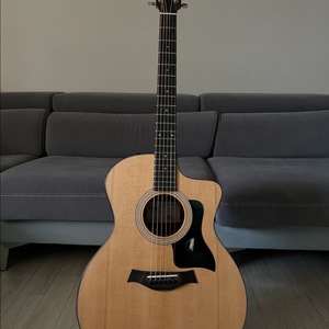 테일러 114ce-S (ES2)