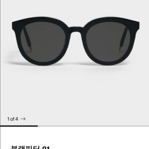 젠틀몬스터 블랙피터 선글라스