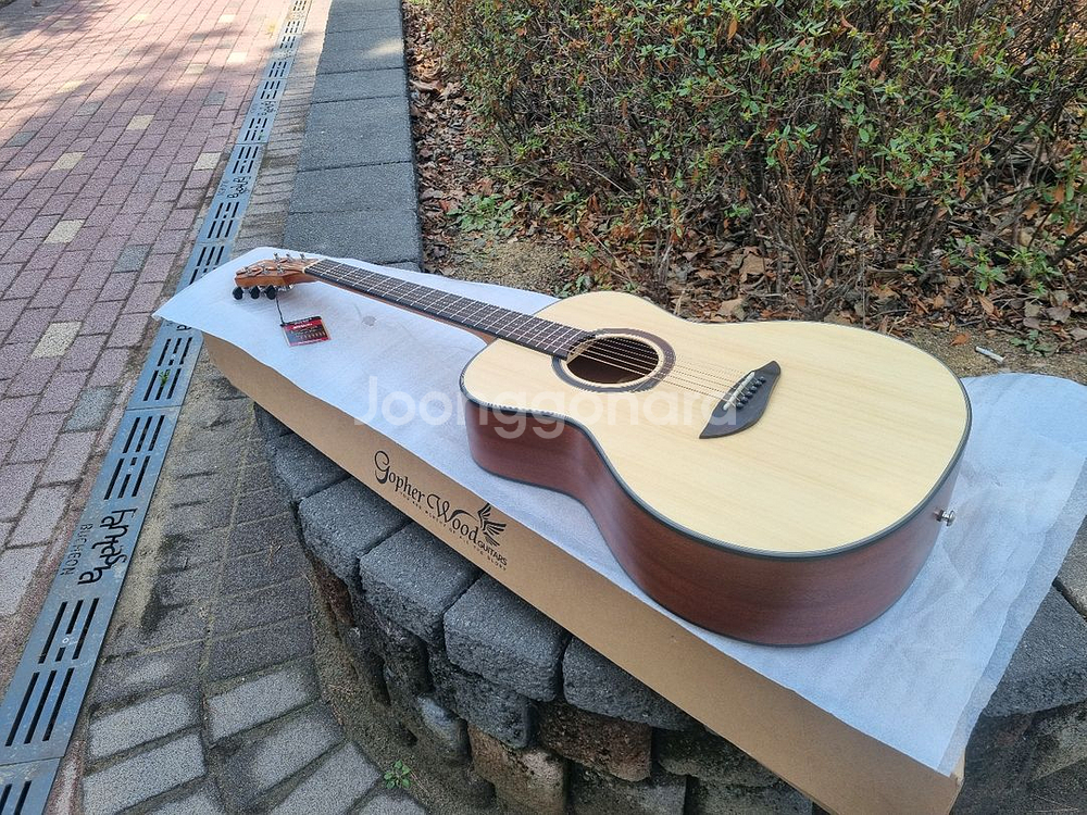 [전시품 30% 할인] 입문용 국민통기타 고퍼우드--0