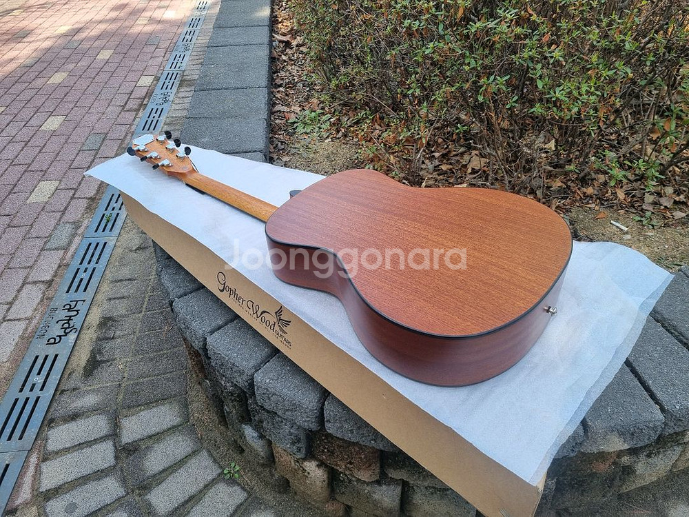 [전시품 30% 할인] 입문용 국민통기타 고퍼우드--5