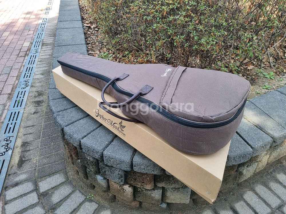 [전시품 30% 할인] 입문용 국민통기타 고퍼우드--8
