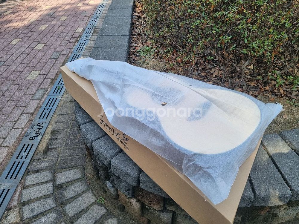 [전시품 30% 할인] 입문용 국민통기타 고퍼우드--6