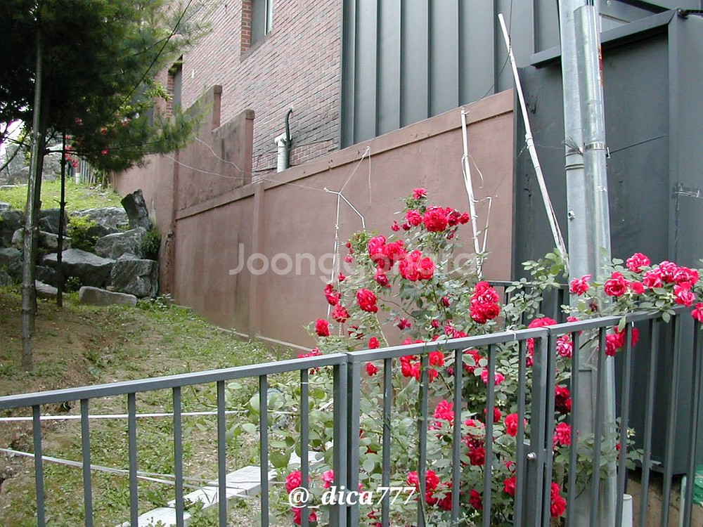 니콘 쿨픽스 775 디카 풀박스--8