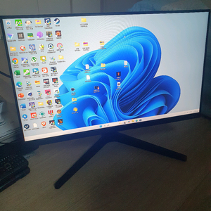 삼성 IPS 슬림 24인치 모니터 hdmi