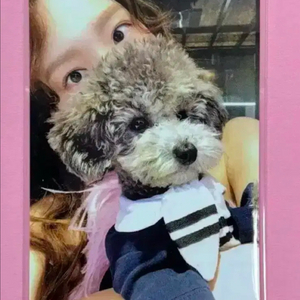 태연 썸띵뉴 something new 포카