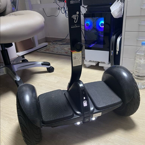세그웨이 나인봇 320s pro