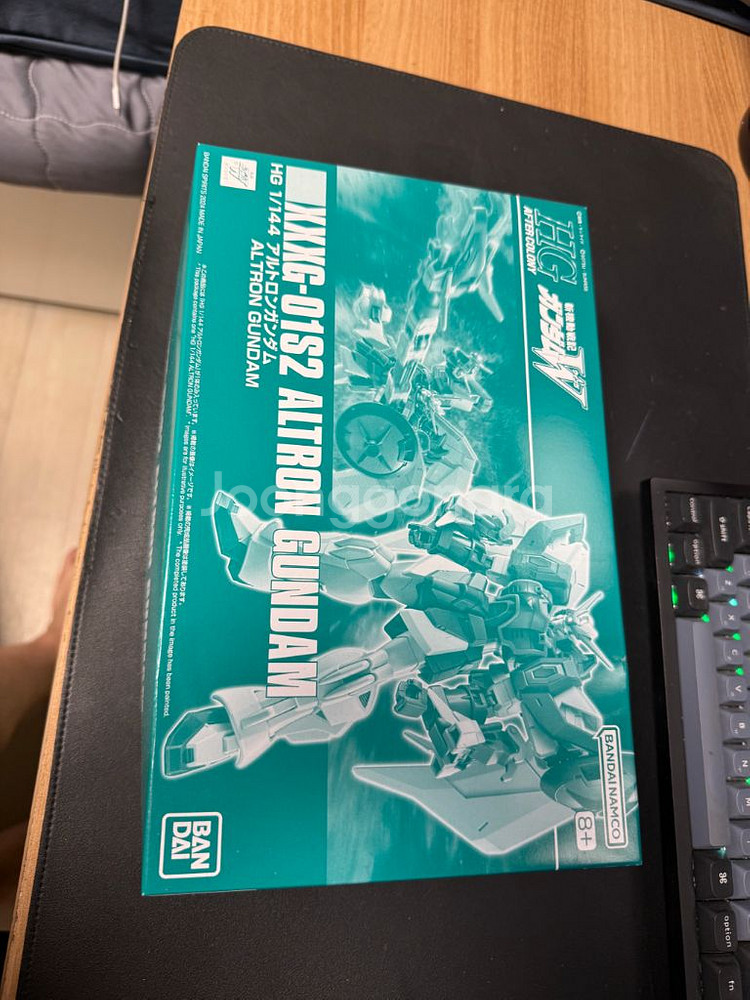 hg 건담 알트론--0