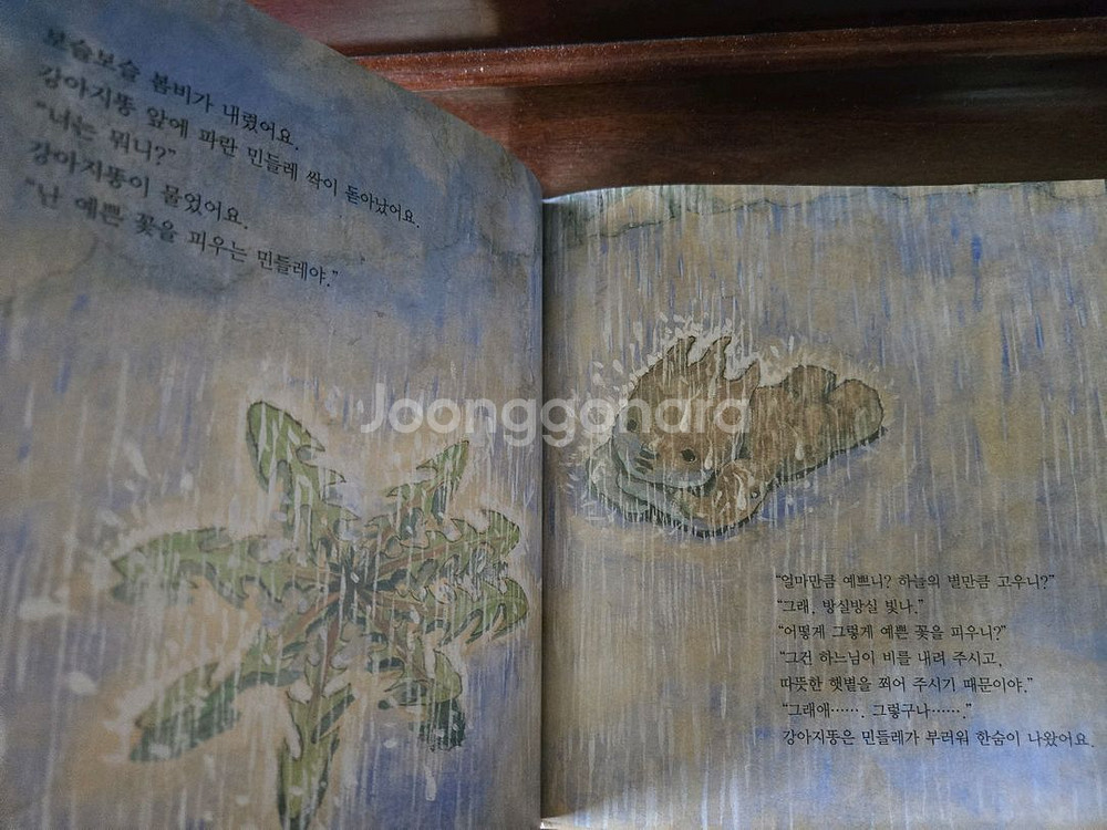 강아지똥 & 세상에서 가장 유명한 미술관--4