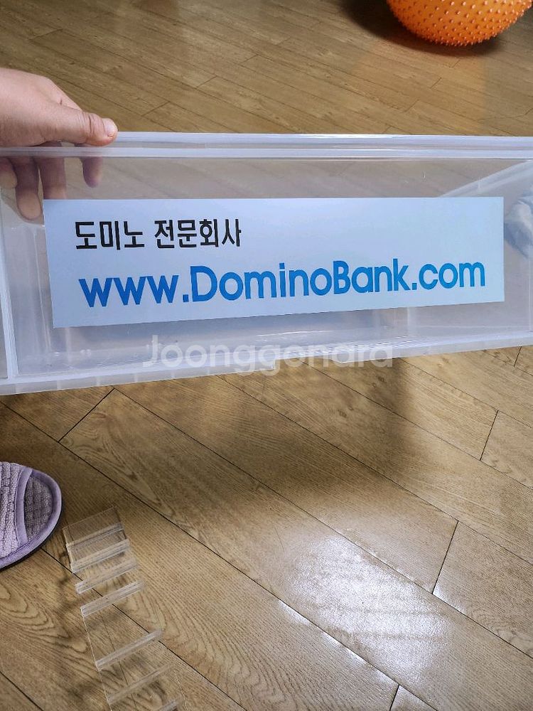전문가용 도미노 판매합니다--2