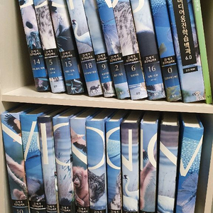 21세기웅진학습백과