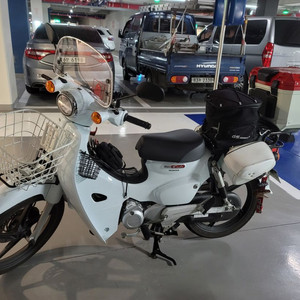 급매)24년식 슈퍼커브110 / 2900 km