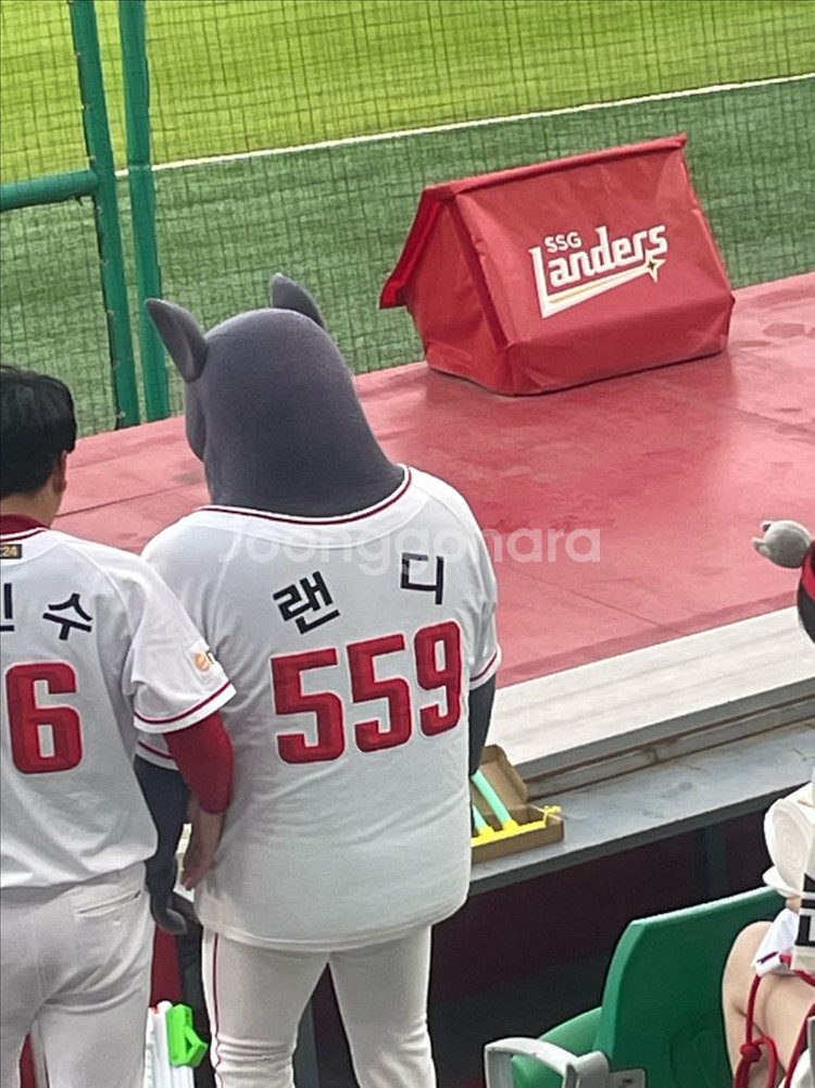 6/15 ssg랜더스 응지석--0