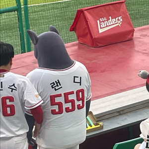 6/15 ssg랜더스 응지석
