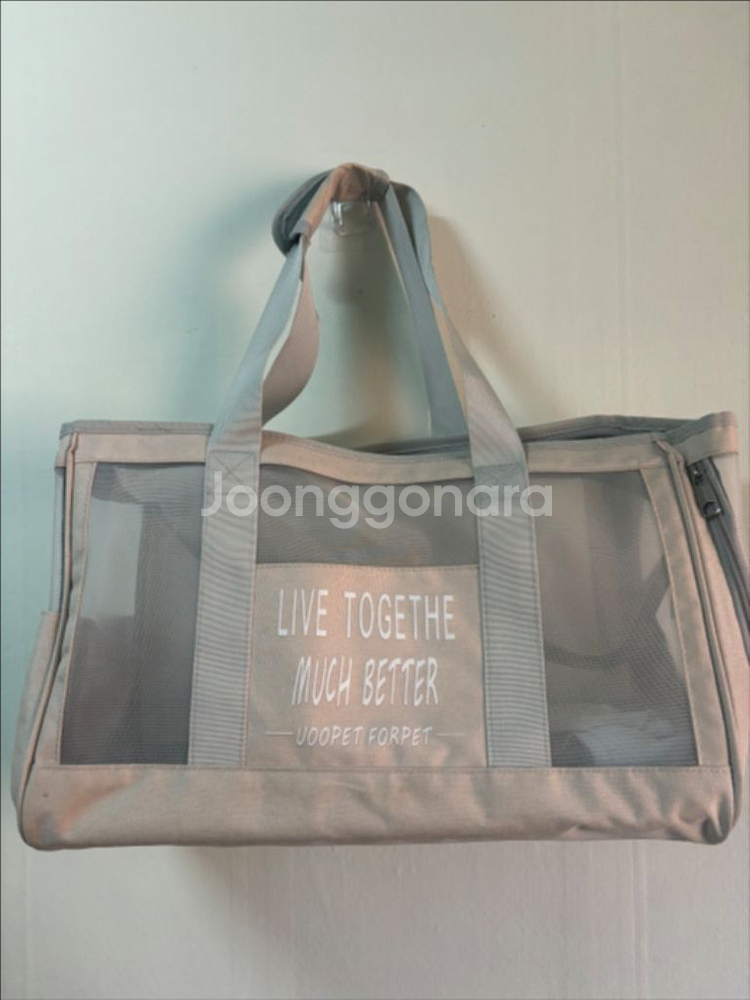 스페이스캣 애견 이동가방--0