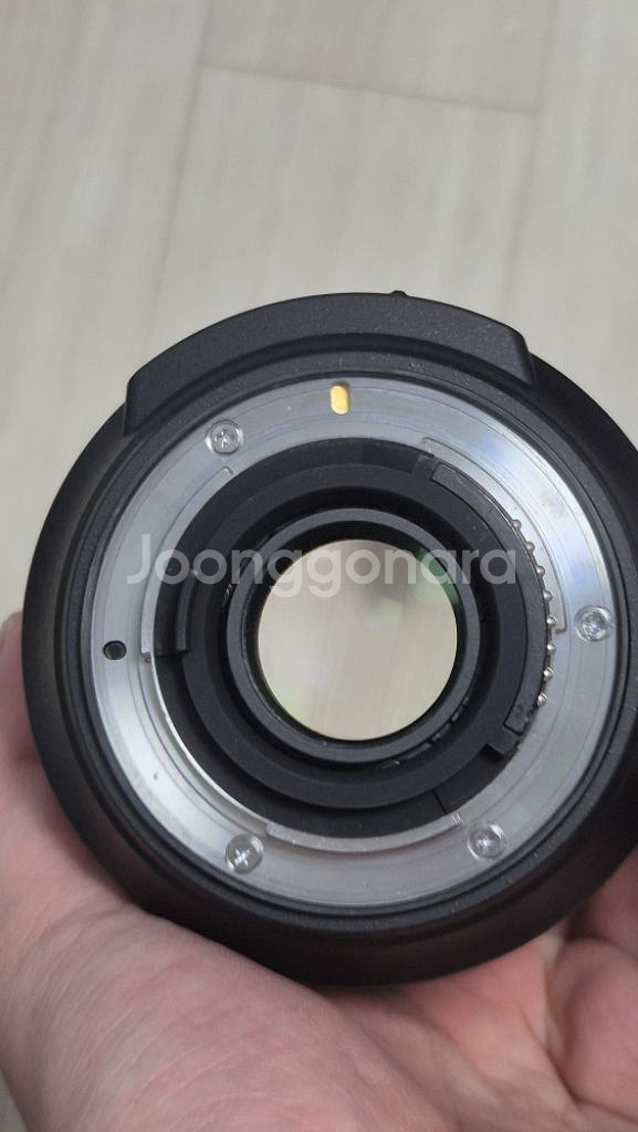 DSLR 니콘 D500 (8,913컷)--9