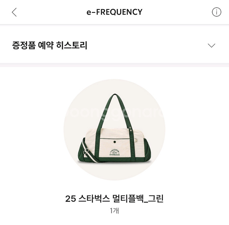 2025 스타벅스 프리퀀시 멀티플백 그린--1