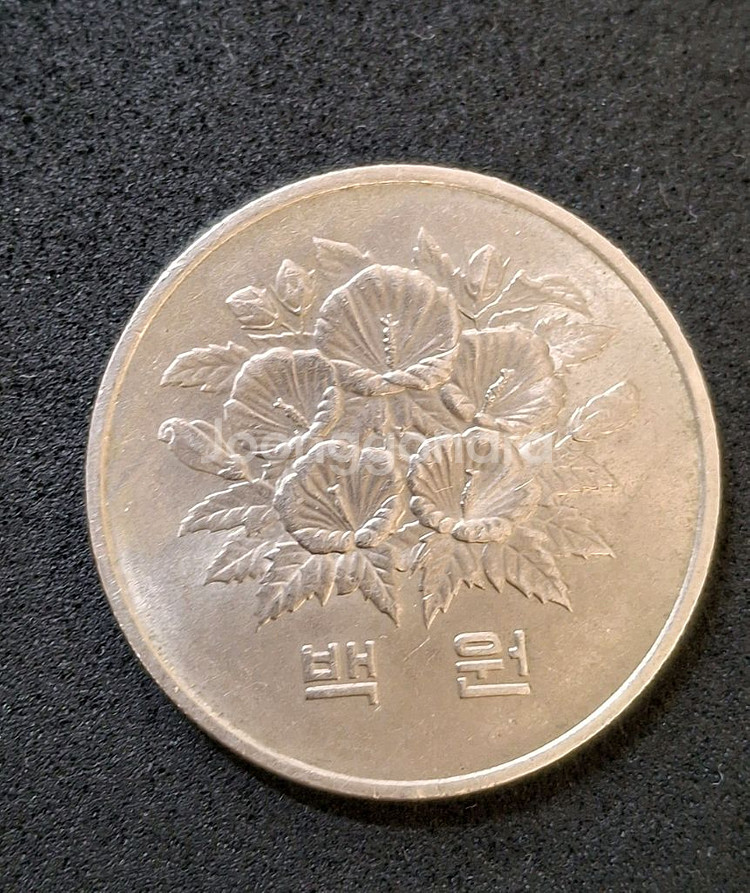 기념주화 제5공화국 1981년 100원--0