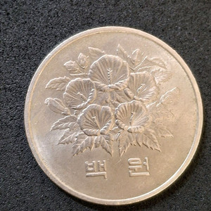 기념주화 제5공화국 1981년 100원