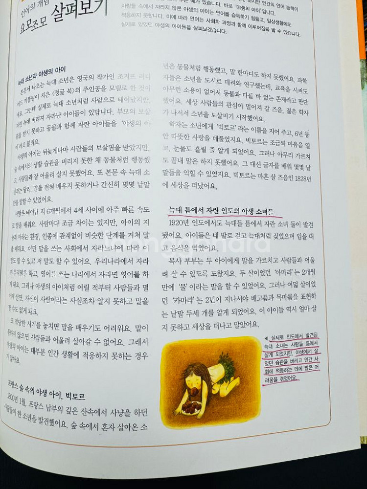 교과서에서 나오는 국어탐구/한국해밍웨이--2