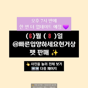 입양하세요 펫 많이 팔아요