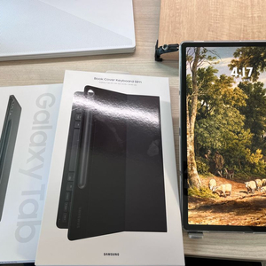 갤럭시탭s9 플러스 256gb wifi