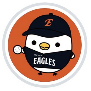 한화이글스 6월 15일 티켓