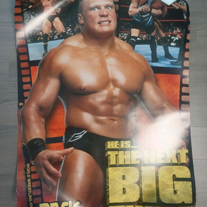 WWE 브록레스너 신인 때 대형 포스터 (부산직거래만)
