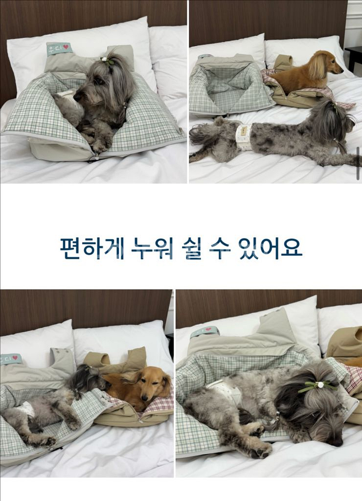 키도비 강아지 포대기 슬링가방--3