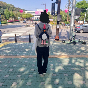 윌레스와 그로밋 맥그로우 인형가방 팔아요~