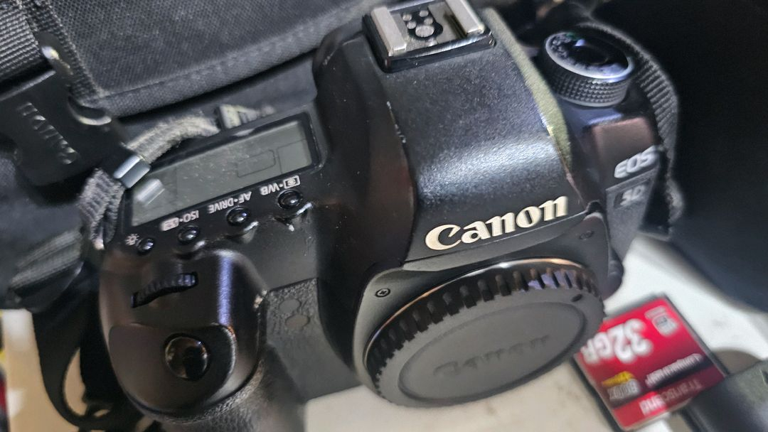 캐논 마크2 이미지