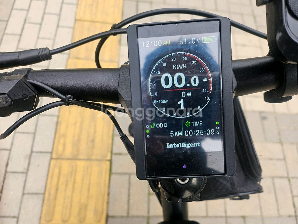 전기자전거 트렉 정품 바팡모터 48V 1000W--1