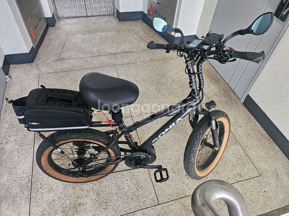 전기자전거 펫 20인치 정품 바팡모터 48V 1000W--0