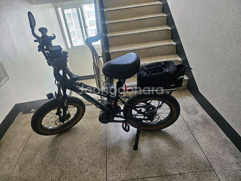 전기자전거 펫 20인치 정품 바팡모터 48V 1000W--1