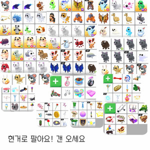 입양하세요 입양템 팔아요!