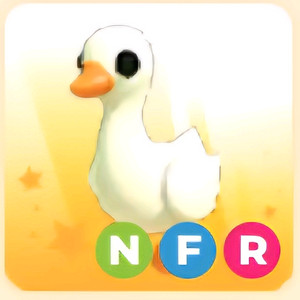 입양하세요 NFR 거위
