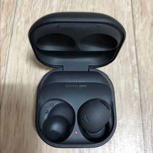 삼성전자 갤럭시 버즈2 프로 그라파이트 SM-R510