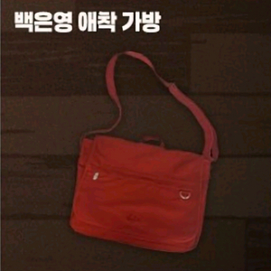 집이없어 집없 이너부스 팝업 백은영 애착가방