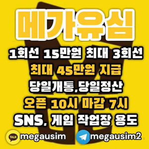 선불 유심 내구제