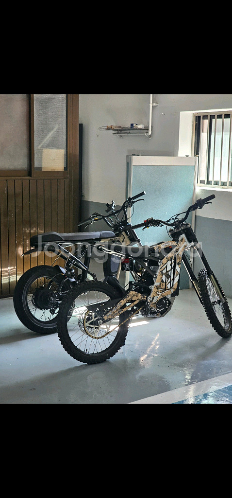 써론 라이트비 x 2024년형--1